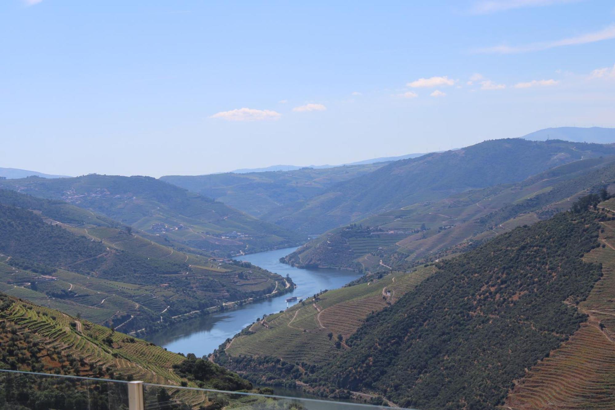 Вилла Socalcos Do Douro House Валенса-ду-Дору Экстерьер фото