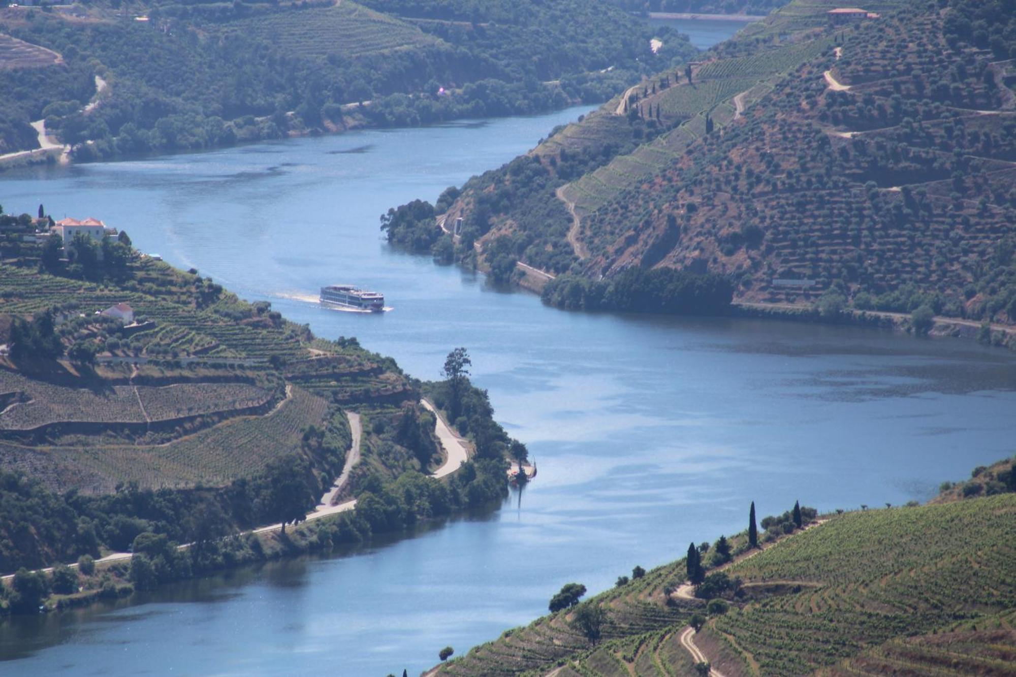 Вилла Socalcos Do Douro House Валенса-ду-Дору Экстерьер фото